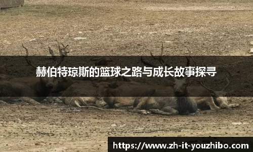 关键词3
